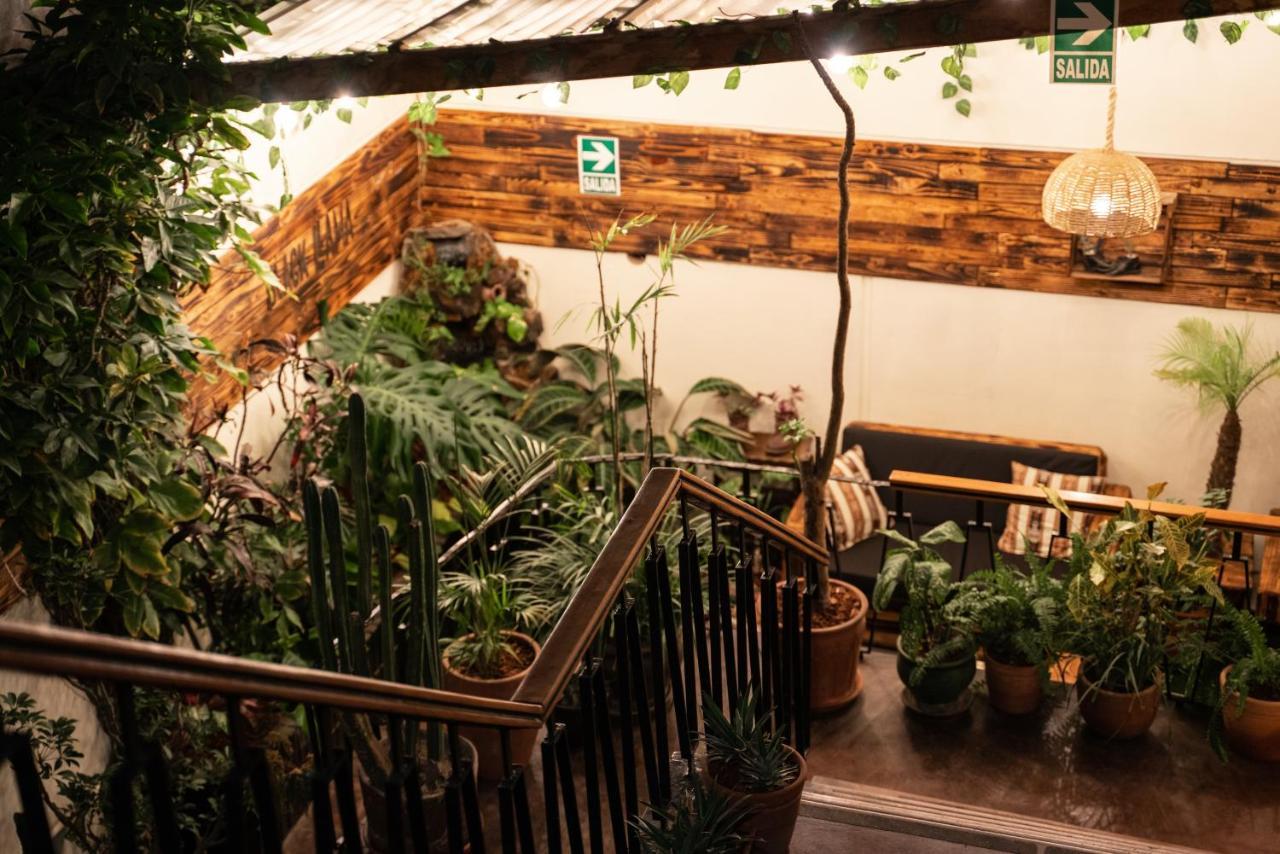 Black Llama Hostel Miraflores Lima Exteriér fotografie