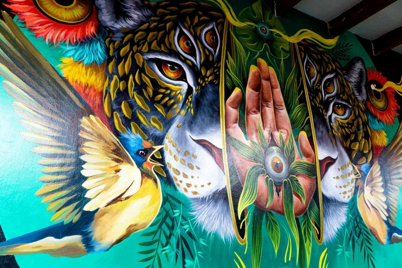 Black Llama Hostel Miraflores Lima Exteriér fotografie