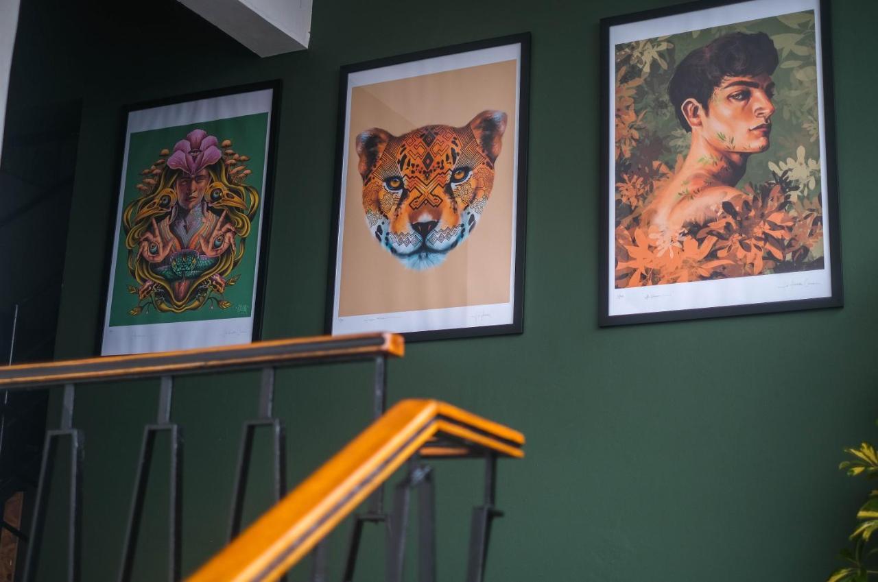 Black Llama Hostel Miraflores Lima Exteriér fotografie
