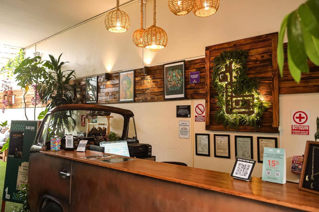Black Llama Hostel Miraflores Lima Exteriér fotografie