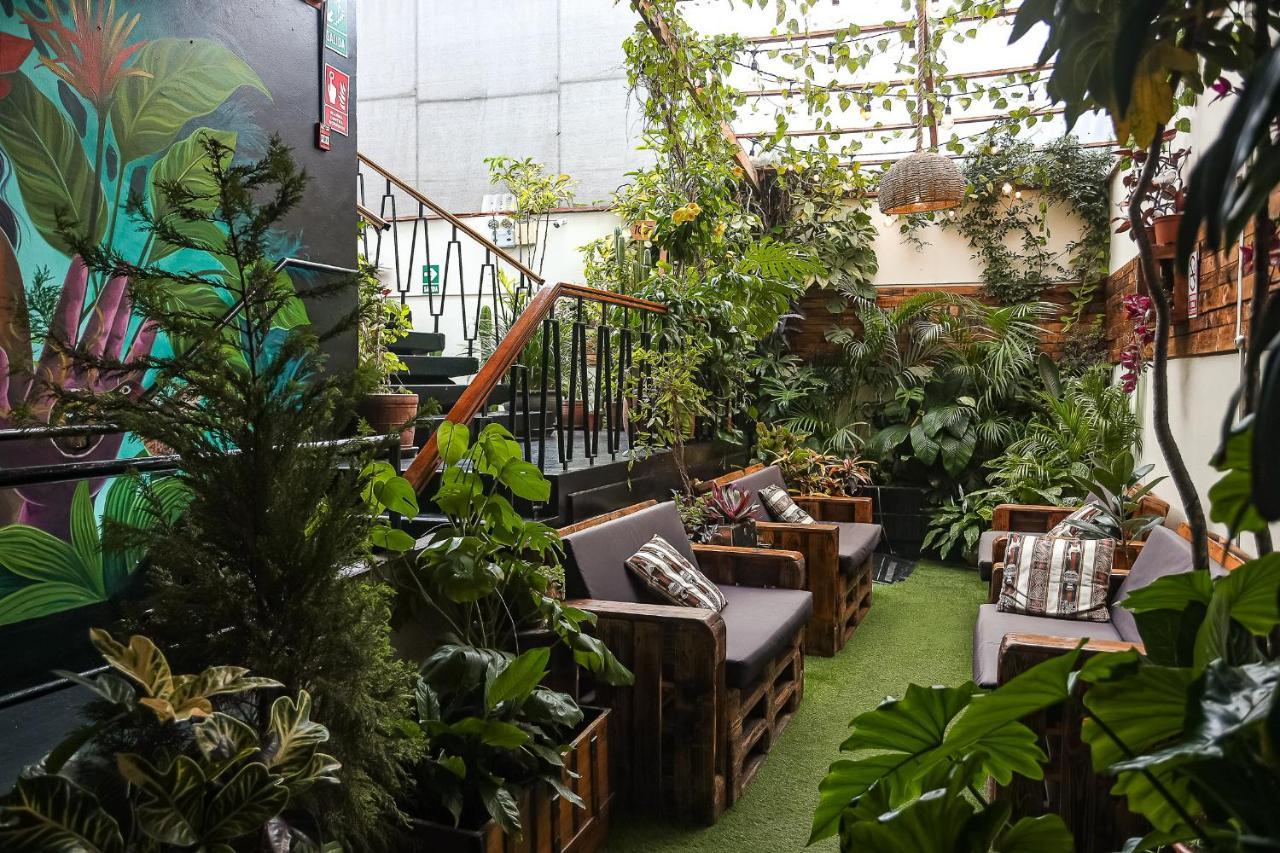 Black Llama Hostel Miraflores Lima Exteriér fotografie