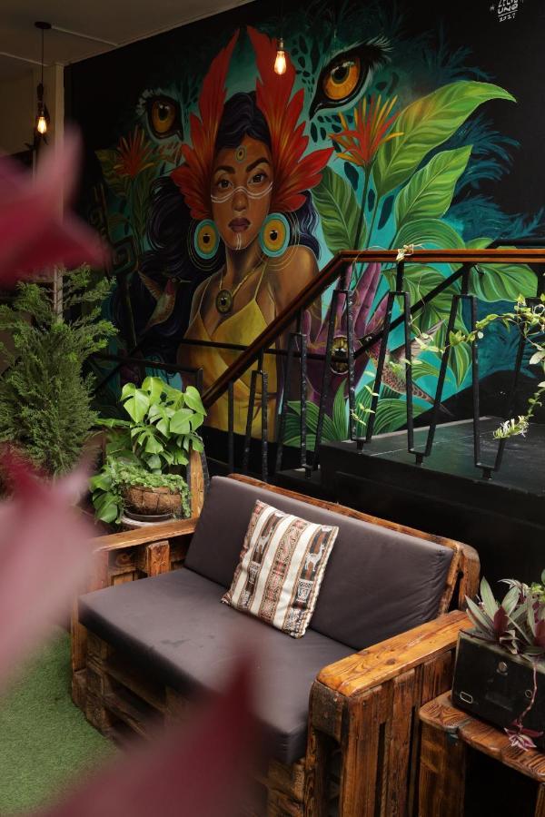 Black Llama Hostel Miraflores Lima Exteriér fotografie